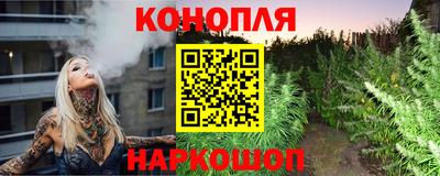 прущие крисы Кингисепп