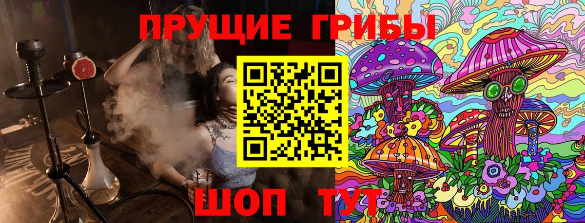 Псилоцибиновые грибы Cubensis  Вход с VPN  Ухта  Галлюциногенные грибы Psilocybe 